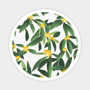 Loquat medlar flower in Autumn // pattern // dark background Magnet